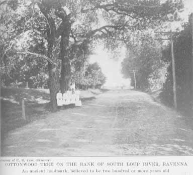 Cottonwood Tree on the Bank of the South Loup River, Ravenna 