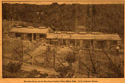 Breeding House at Woodlawn Poultry Farm