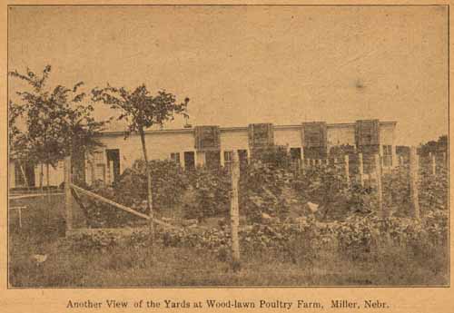 Wood-Lawn Poultry Farm