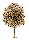 tree2.gif - 0.45 K