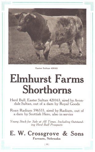 Elmhurst Farms
