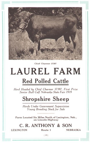 Laurel Farm