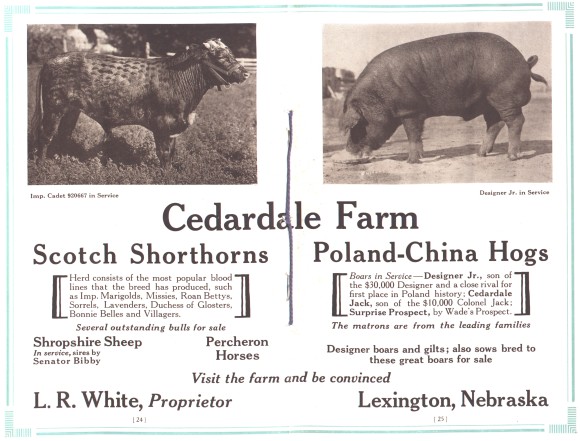 Cedardale Farm