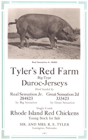 Tyler's Red Farm