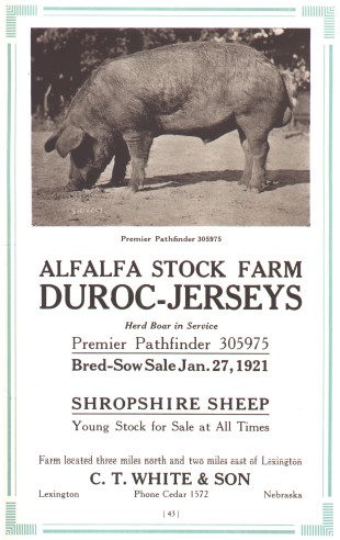 Alfalfa Stock Farm