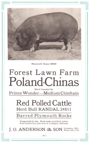 Forest Lawn Farm