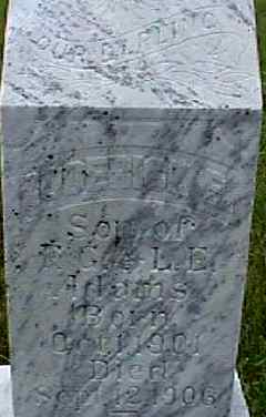 Grave photo