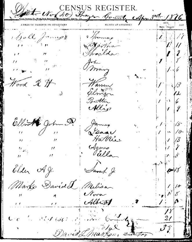 1876 CENSUS