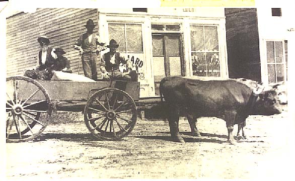 Team of ox in the Street Edgar,Tom,and Era Hitt